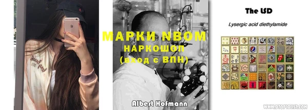 apvp Алзамай