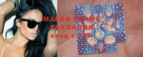 apvp Алзамай